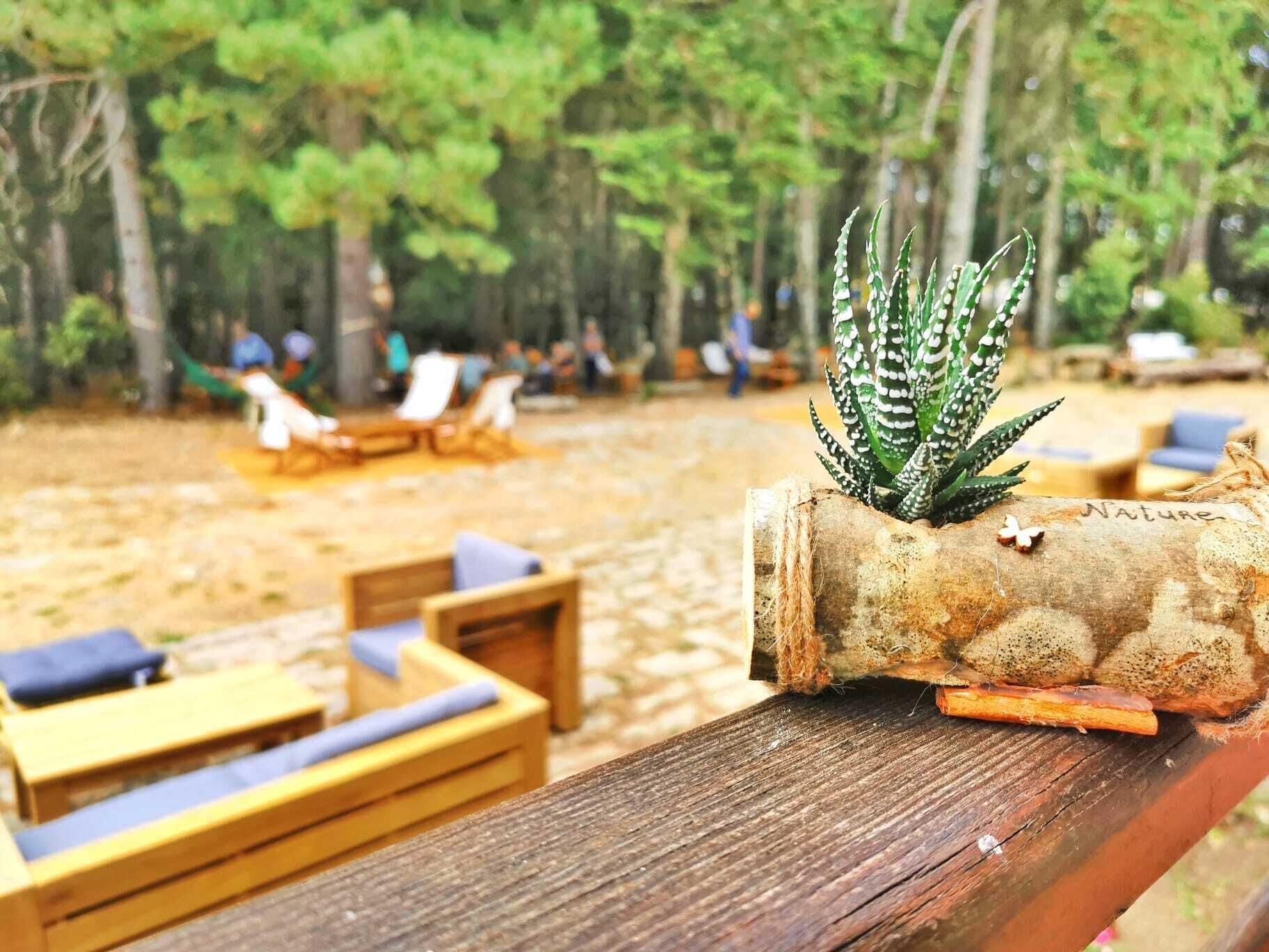 Vallicciola Nature Hotel Темпио Паузания Екстериор снимка